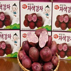 紫色土豆