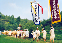 通明农谣