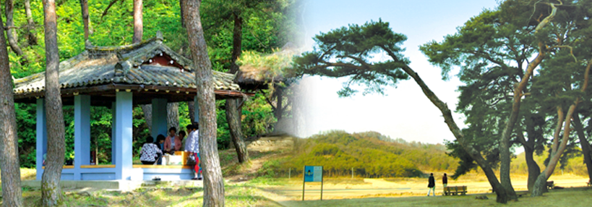 Seonmongdae
