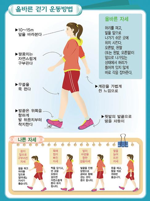 올바른 걷기 운동방법 : 1. 10~15m 앞을 바라본다 2.팔꿈치는 자연스럽게 구부린다. 3.무릎을 쭉 편다. 4. 발끝은 위쪽으로 향하게 발뒤꿈치부터 착지한다. 5. 계란을 가볍게 쥔 느낌으로 6. 뒷발의 발끝으로 땅을 차듯이 올바른자세 : 허리를 펴고, 발을 앞으로 나가기 쉬운 곳에 위치시킨다. 오른발, 왼팔(또는 왼발,오른팔)이 앞으로 나가있는 상태에서 허리가 틀어져 있지 않게 바로 각을 잡아준다. 나쁜 자세 : 몸이 앞으로 구부러진 자세 (몸을 펴고 허리를 앞으로 밀어내는 자세가 좋습니다.) 목에 힘이 빠진 자세 (턱을 당기고, 먼 곳을 보듯이 걸으면 자연스럽게 몸이 유지됩니다. 발이 바깥을 향한 걸음자세(발끝을 진행 방향으로 곧바로 향해 걷는 것이 중요합니다. 팔을 늘어뜨린 자세 (등을 펴고, 팔을 뒤로 취하면 좋습니다.)