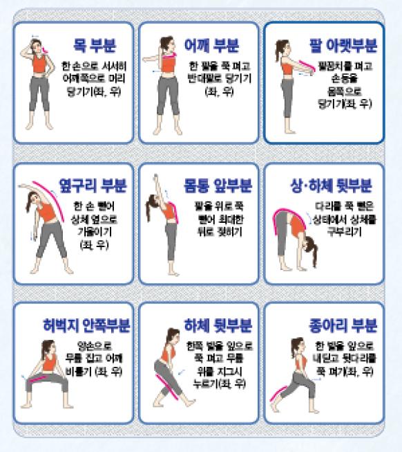 목부분 : 한 손으로 서서히 어깨쪽으로 머리 당기기(좌,우) 어깨 부분 : 한 팔을 쭉 펴고 반대팔로 당기기 (좌,우) 팔아랫부분 : 팔꿈치를 펴고 손등을 몸쪽으로 당기기 (좌,우) 옆구리 부분 : 한 손 뻗어 상체 옆으로 기울이기 (좌,우) 몸통 앞부분 : 팔을 위로 쭉 뻗어 최대한 뒤로 젖히기 상ㆍ하체 뒷부분 : 다리를 쭉 뻗은 상태에서 상체를 구부리기 허벅지 안쪽부분 : 양손으로 무릎 잡고 어깨 비틀기(좌,우) 하체뒷부분 한쪽 발을 앞으로 쭉 펴고 무릎 위를 지그시 누르기 (좌,우) 종아리 부분 : 한 발을 앞으로 내딛고 뒷다리를 쭉 펴기(좌,우)