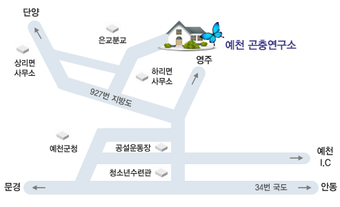 곤충연구소 찾아오시는 길 : 예천군청 출발-좌회전68m-우회전871m-영주방면우회전140m-좌회전418m-한천삼거리좌회전645m-우계삼거리좌회전9.38km-곤충연구소방면우측950m-우회전9.47km-좌회전57m-곤충연구소 도착