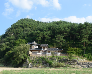 선몽대