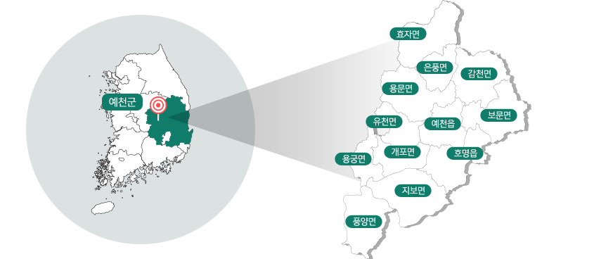 경상북도 예천군은 효자면, 은풍면, 감천면, 용문면, 유천면, 예천읍, 보문면, 용궁면, 개포면, 호명면, 지보면, 풍양면이 있습니다.