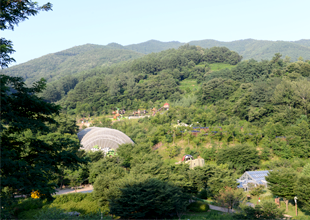 예천 전경