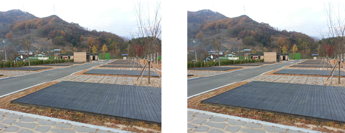 숲속체험지구 사진