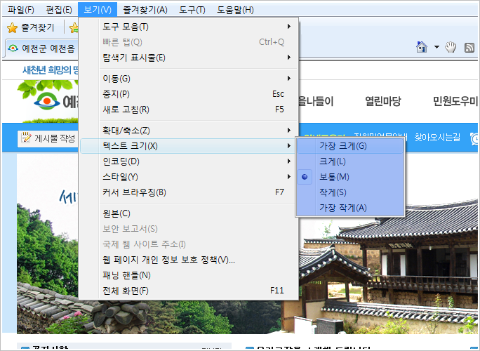 보기>텍스트크기>원하는글자크기선택