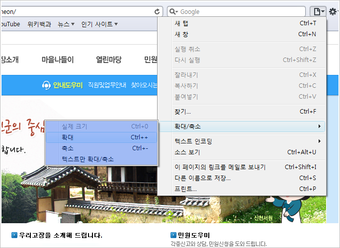 사파리