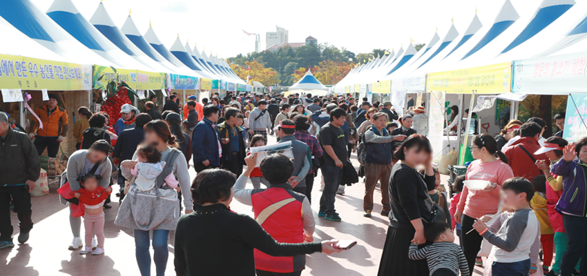 농산물축제 전경
