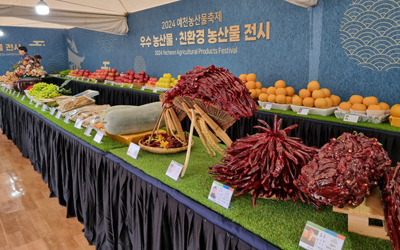 농산물축제1