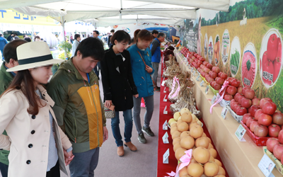 농산물축제