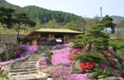 효공원