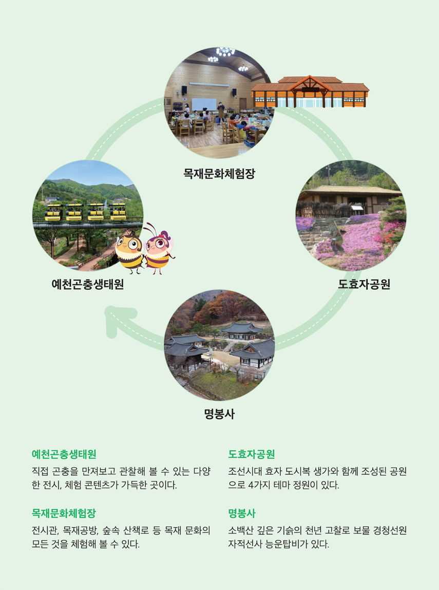 예천곤충생태원 ▷ 목재문화체험장 ▷ 도효자공원 ▷ 명봉사. 예천곤충생태원 - 직접 곤충을 만져보고 관찰해 볼 수 있는 다양한 전시, 체험 콘텐츠가 가득한 곳이다. 목재문화체험장 - 전시관, 목재공방, 숲속 산책로 등 목재 문화의 모든 것을 체험해 볼 수 있다. 도효자공원 - 조선시대 효자 도시복 생가와 함께 조성된 공원으로 4가지 테마 정원이 있다. 명봉사 - 소백산 깊은 기슭의 천년 고찰로 보물 경청선원 자적선사 능운탑비가 있다.