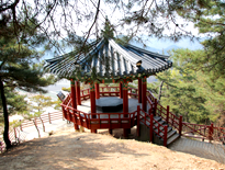 회룡대