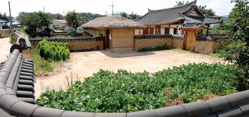 금당실 전통마을과 송림 사진