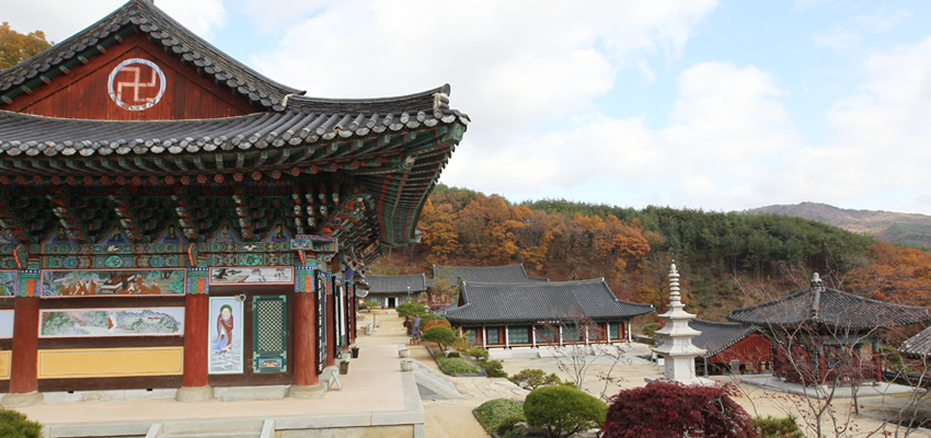 용문사 사진