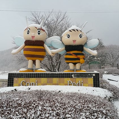 눈오는날 곤충연구소 모습