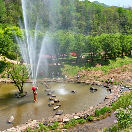 2019곤충여름페스티벌 축제