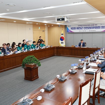 예천군, 지역축제 안전대책 꼼꼼히 살핀다