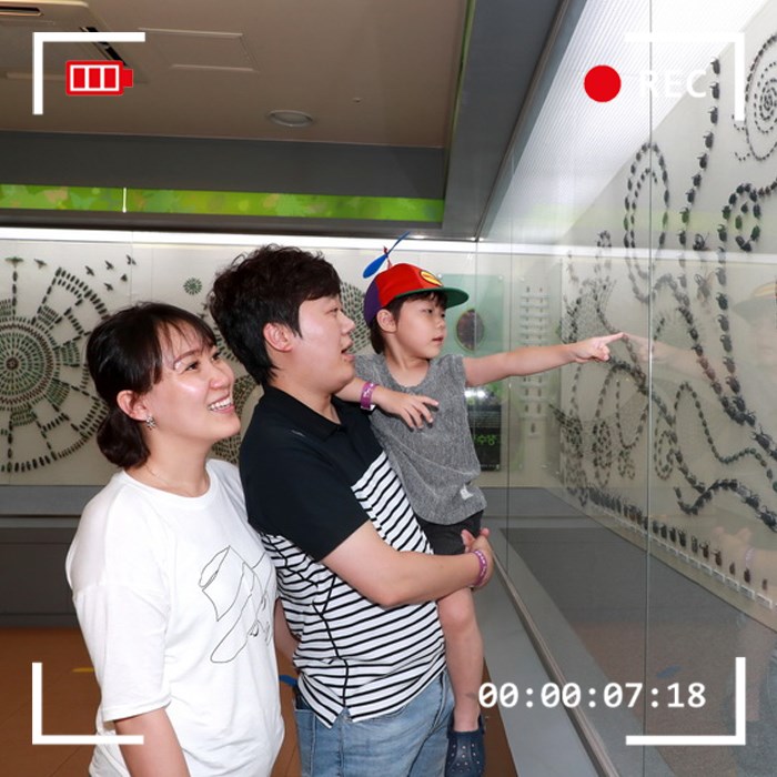 6.예천 곤충 페스티벌 이모저모