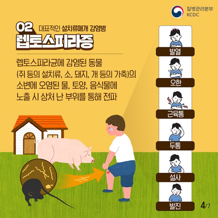 4.설치류매개 감염병 주의안내