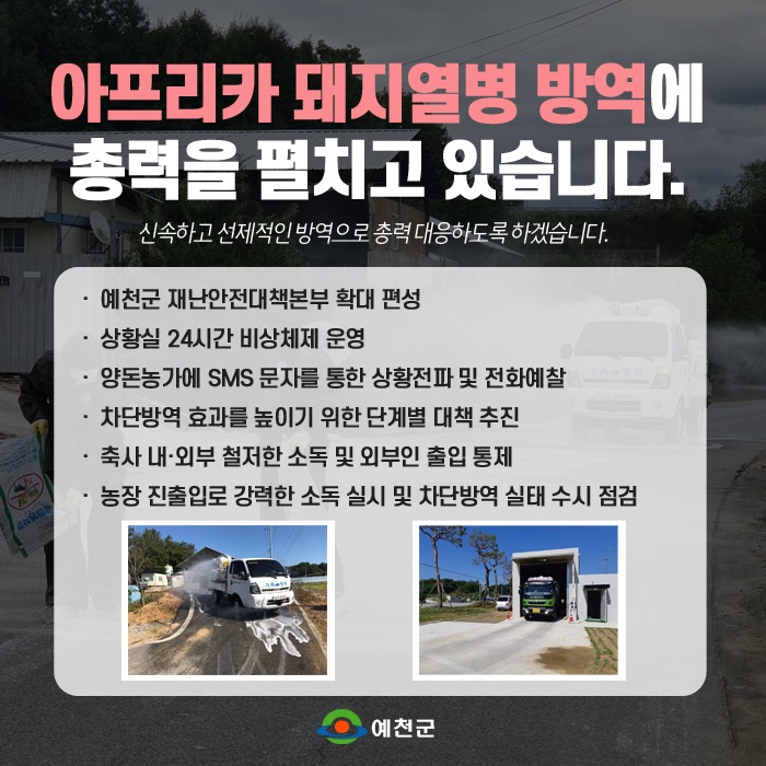 1.예천군 아프리카 돼지열병 방역에 최선
