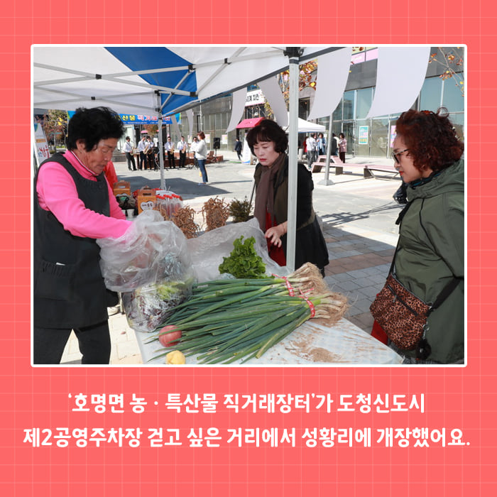 2.도농상생과 면민화합을 위한 호명면 농특산물 직거래장터 개장