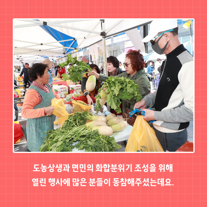 3.도농상생과 면민화합을 위한 호명면 농특산물 직거래장터 개장