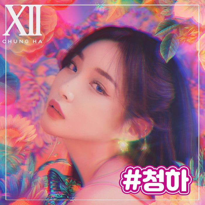 2.2019 예천 안심가로등 점등식&토크콘서트 라인업 안내