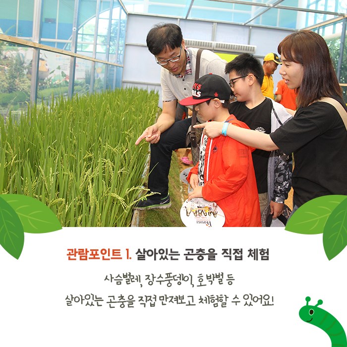 3.2020 예천세계곤충엑스포