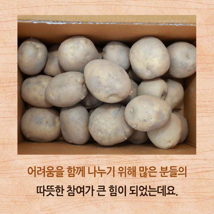 3.농가소득 증대를 위한 감자 특별판매 행사 추진