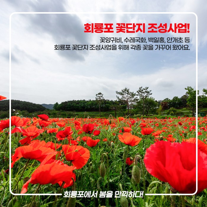 2.예천군 랜선여행