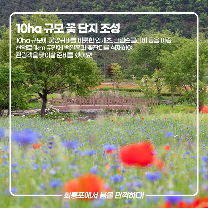 5.예천군 랜선여행