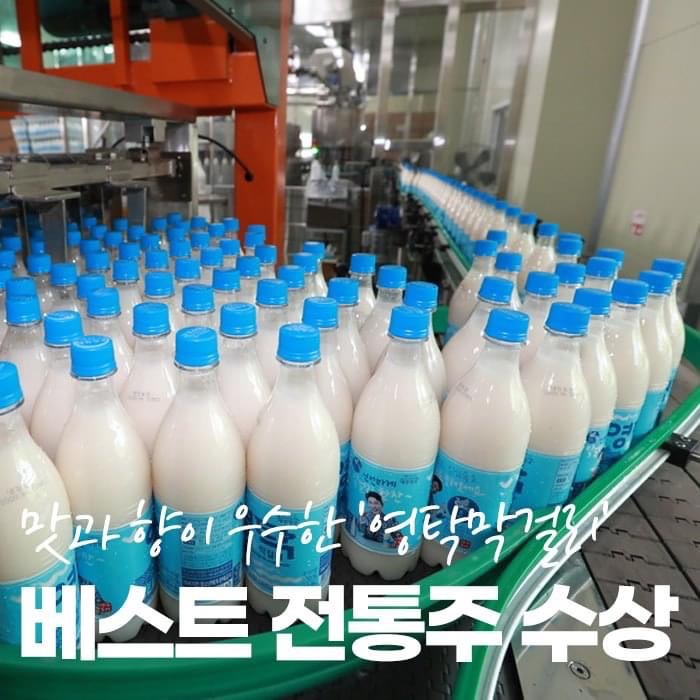 1.영탁막걸리 막걸리 부문 베스트 전통주 수상