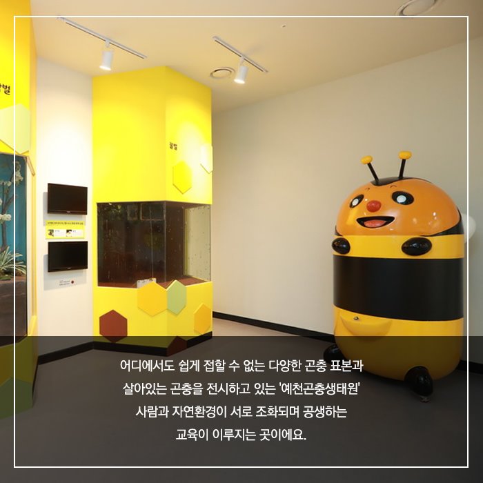 어디에서도 쉽게 접할 수 없는 다양한 곤충 표본과 살아있는 곤충을 전시하고 있는 '예천곤충생태원' 사람과 자연환경이 서로 조화되며 공생하는 교육이 이루어지는 곳이에요.