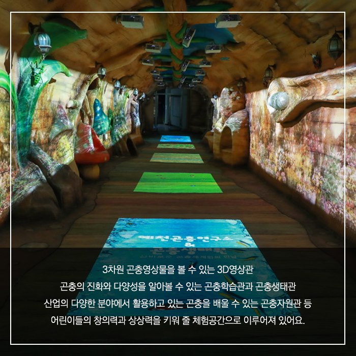 3차원 곤충영상물을 볼 수 있는 3D영상관 곤충의 진화와 다양성을 알아볼 수 있는 곤충학습관과 곤충생태관 산업의 다양한 분야에서 활용하고 있는 곤충을 배울 수 있는 곤충자원관 등 어린이들의 창의력과 상당력을 키워 줄 체험공간으로 이루어져 있어요.