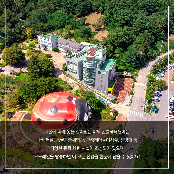 계절에 따라 옷을 갈아입는 야외 곤충생태원에는 나비 터널, 동물곤충체험관, 곤충테마놀이시설, 전망대 등 다양한 관람 체험 시설이 조성되어 있으며 모노레일을 탑승하면 이 모든 전경을 한눈에 담을 수 있어요!