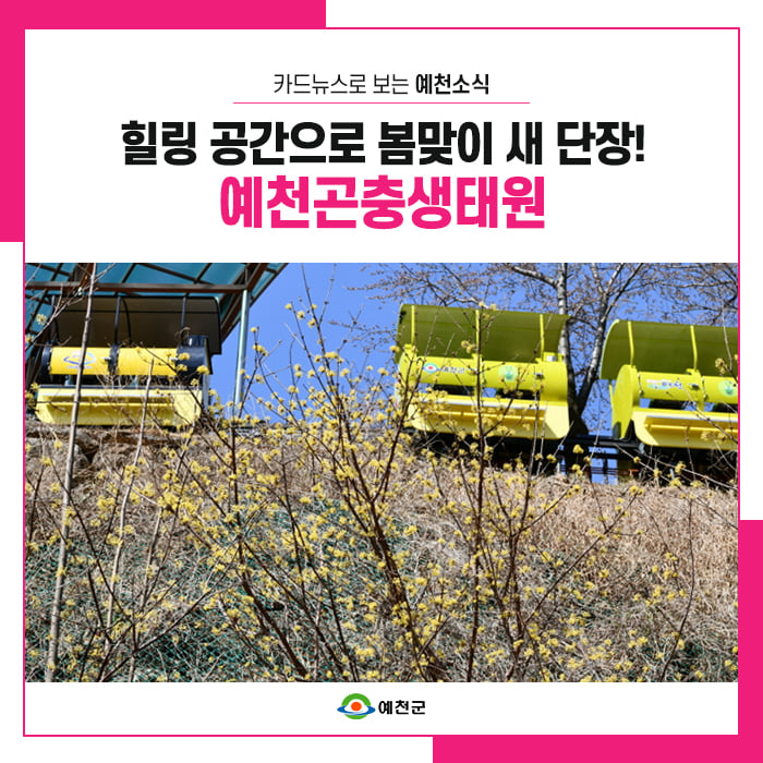 1.아이들이 직접 체험하고 뛰어놀 수 있는 곳! 예천곤충생태원이 새단장을 마치고 돌아왔어요