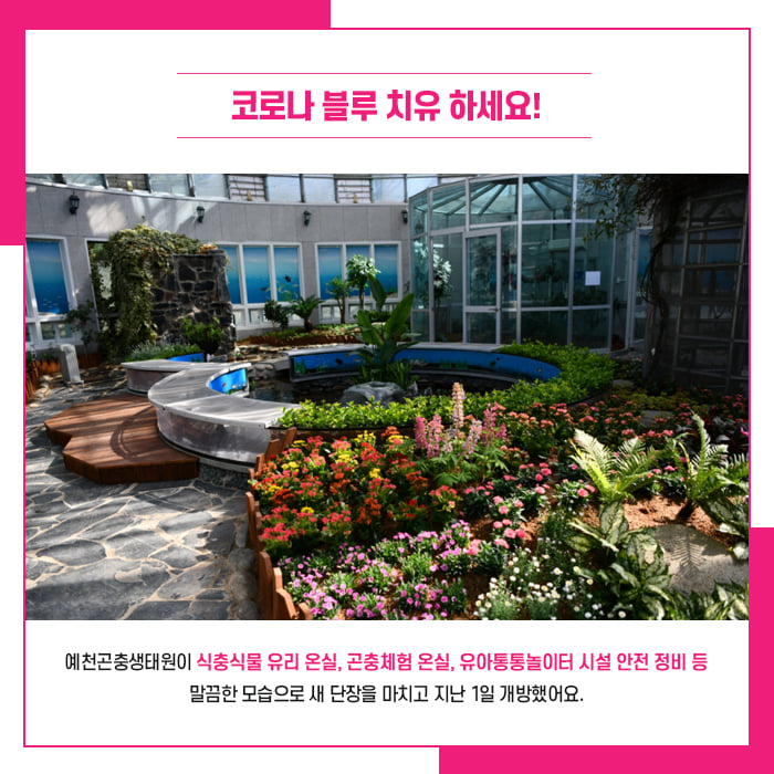 2.아이들이 직접 체험하고 뛰어놀 수 있는 곳! 예천곤충생태원이 새단장을 마치고 돌아왔어요