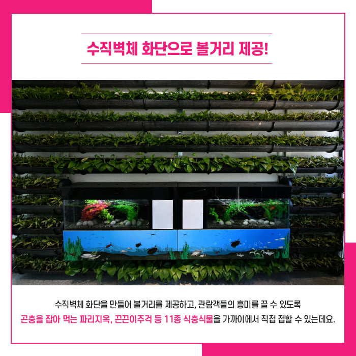 3.아이들이 직접 체험하고 뛰어놀 수 있는 곳! 예천곤충생태원이 새단장을 마치고 돌아왔어요