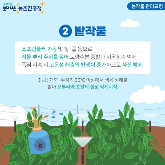 3.폭염으로 인한 농작물 피해 예방 및 가축 관리 요령을 꼭 숙지하세요!