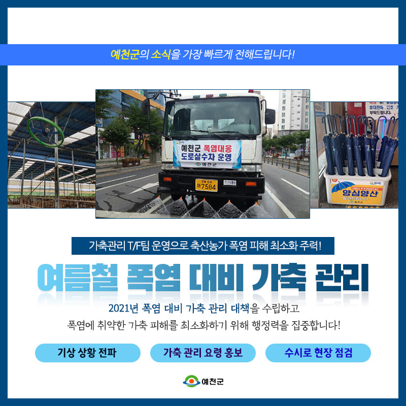 1.여름철 폭염을 대비하기 위해 가축 관리대책을 수립하고 피해를 최소화하기 위해 최선을 다할게요!