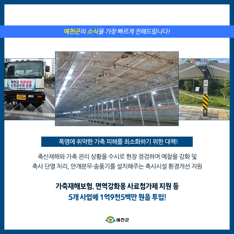 2.여름철 폭염을 대비하기 위해 가축 관리대책을 수립하고 피해를 최소화하기 위해 최선을 다할게요!