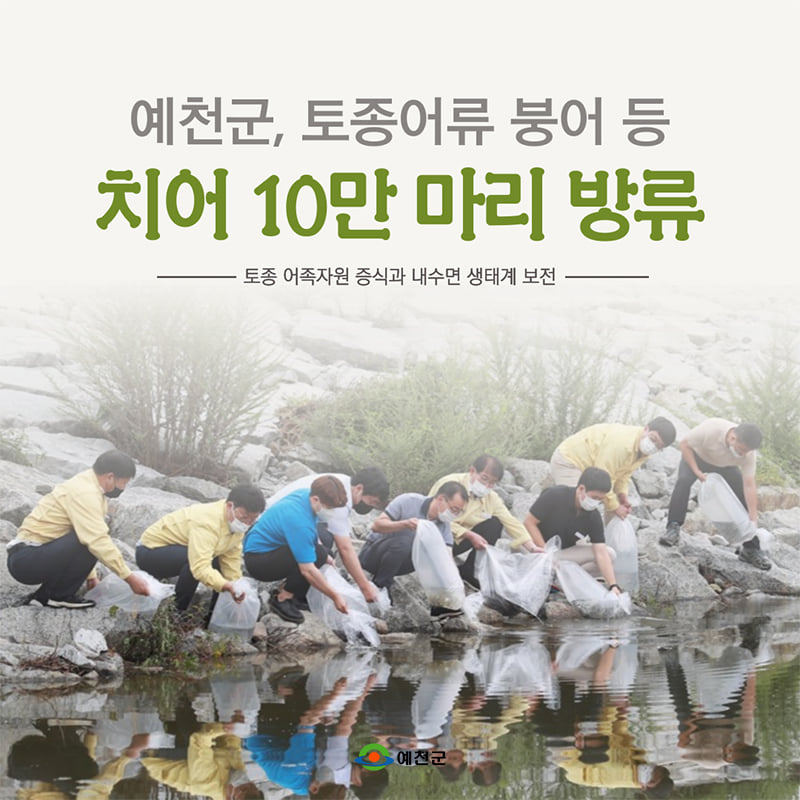 1.한천 등 12개 읍‧면 하천과 저수지에 붕어, 잉어, 메기 치어 10만 마리를 방류했어요.