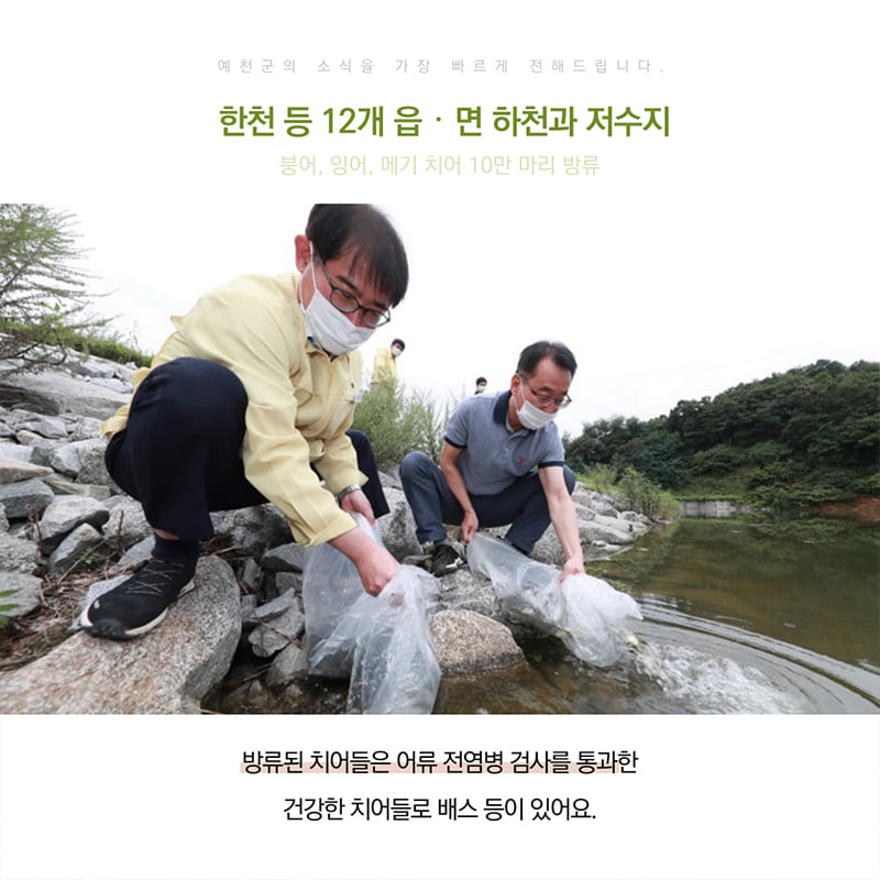 2.한천 등 12개 읍‧면 하천과 저수지에 붕어, 잉어, 메기 치어 10만 마리를 방류했어요.