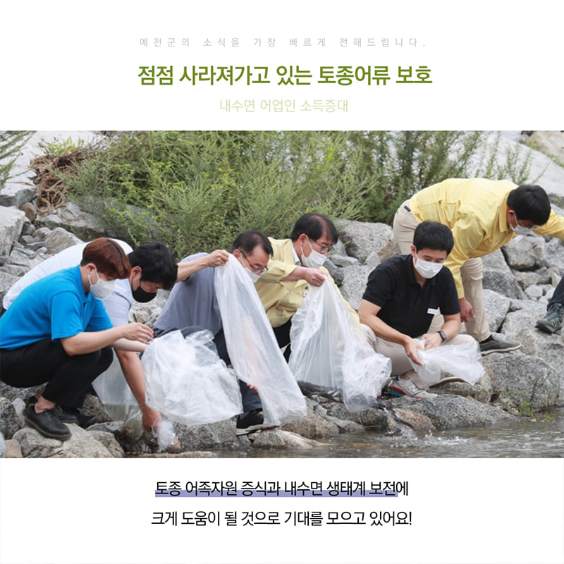 3.한천 등 12개 읍‧면 하천과 저수지에 붕어, 잉어, 메기 치어 10만 마리를 방류했어요.
