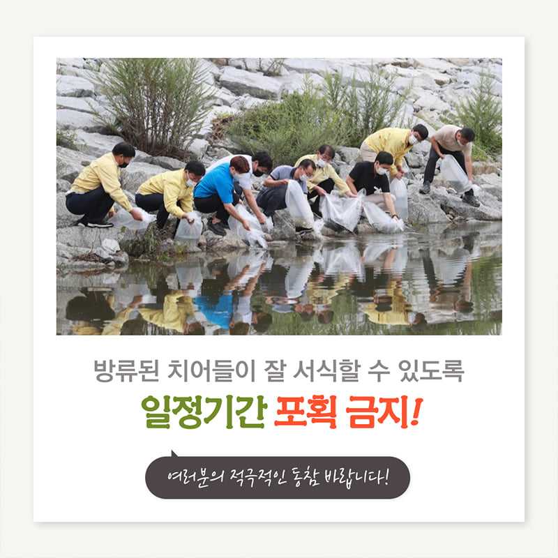 4.한천 등 12개 읍‧면 하천과 저수지에 붕어, 잉어, 메기 치어 10만 마리를 방류했어요.