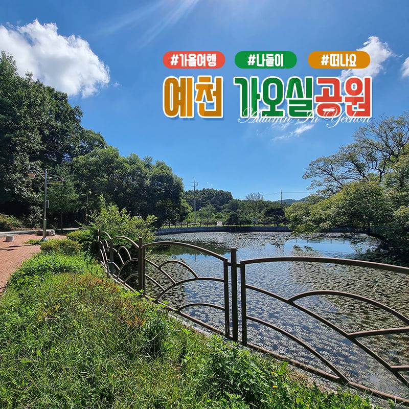 1.예천 가오실공원에서 즐기는 가을날의 여유~ 몸도 마음도 잠시 쉬어가는 시간을 가져보세요