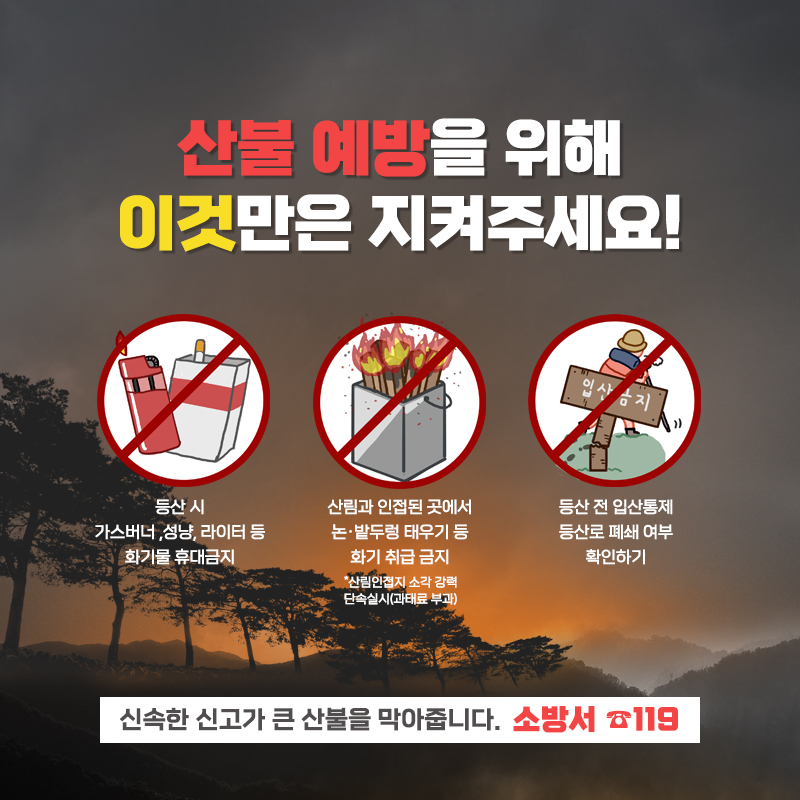 3.나무 수만그루를 태우는 담배 한개비 사소한 부주의가 우리 삶의 터전을 빼앗을 수 있습니다.