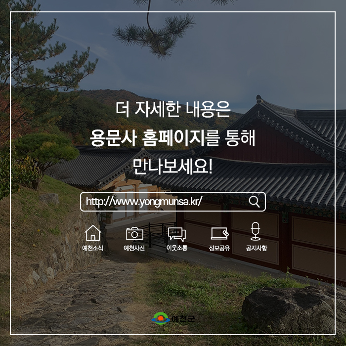 10.농익은 가을, 천년고찰 예천 용문사 함께 걸어요